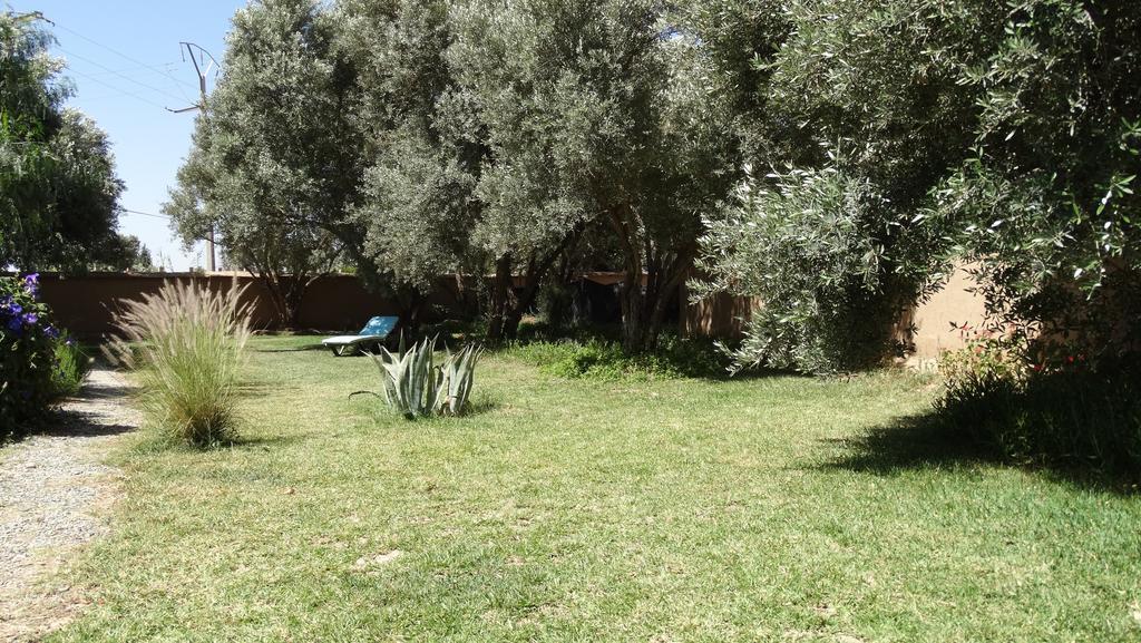 Le Jardin Des Epices Hotel Tarudant Kültér fotó