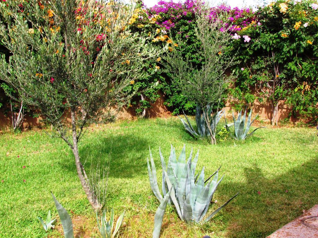 Le Jardin Des Epices Hotel Tarudant Kültér fotó